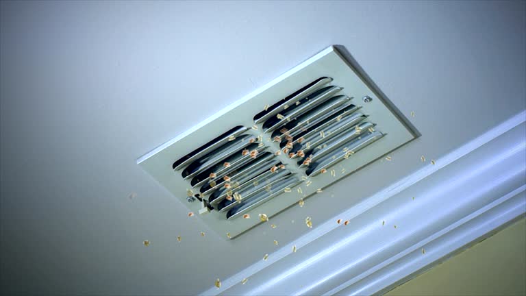 Best Home Air Vent Cleaning  in Park Rapids, MN