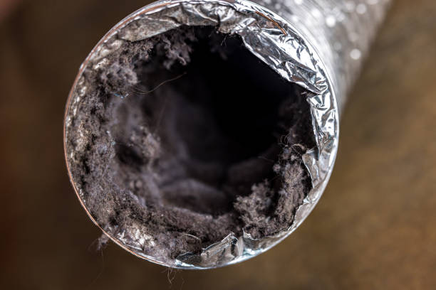 Best HVAC Air Duct Cleaning  in Park Rapids, MN