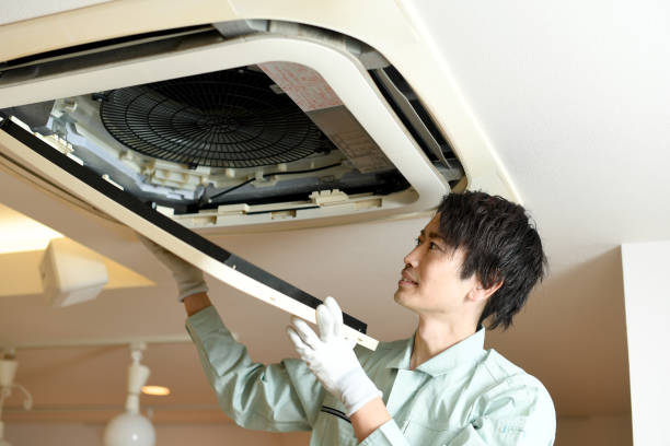 Best Affordable HVAC Duct Cleaning  in Park Rapids, MN