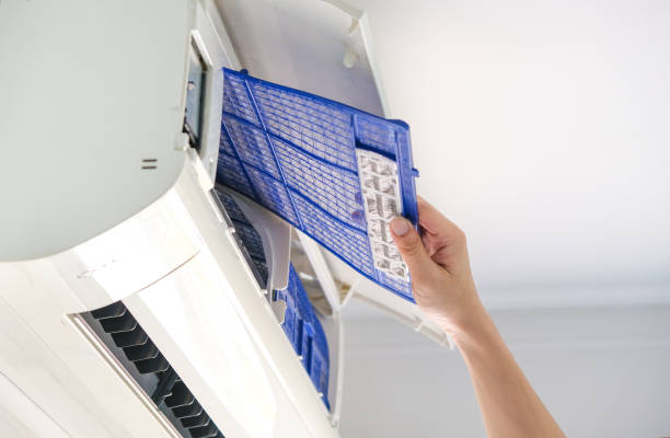 Best Ductwork Cleaning Services  in Park Rapids, MN