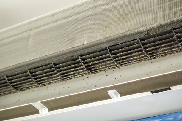 Best Affordable Duct Cleaning Services  in Park Rapids, MN